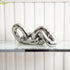 Chrome Chain Link